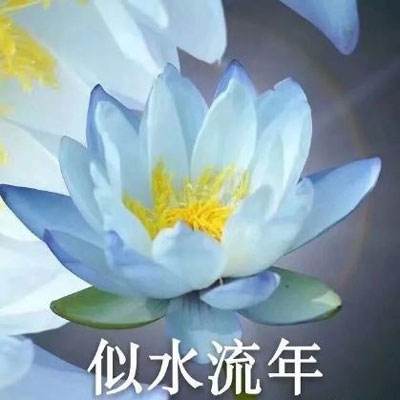 九游我欲独尊2手游下载